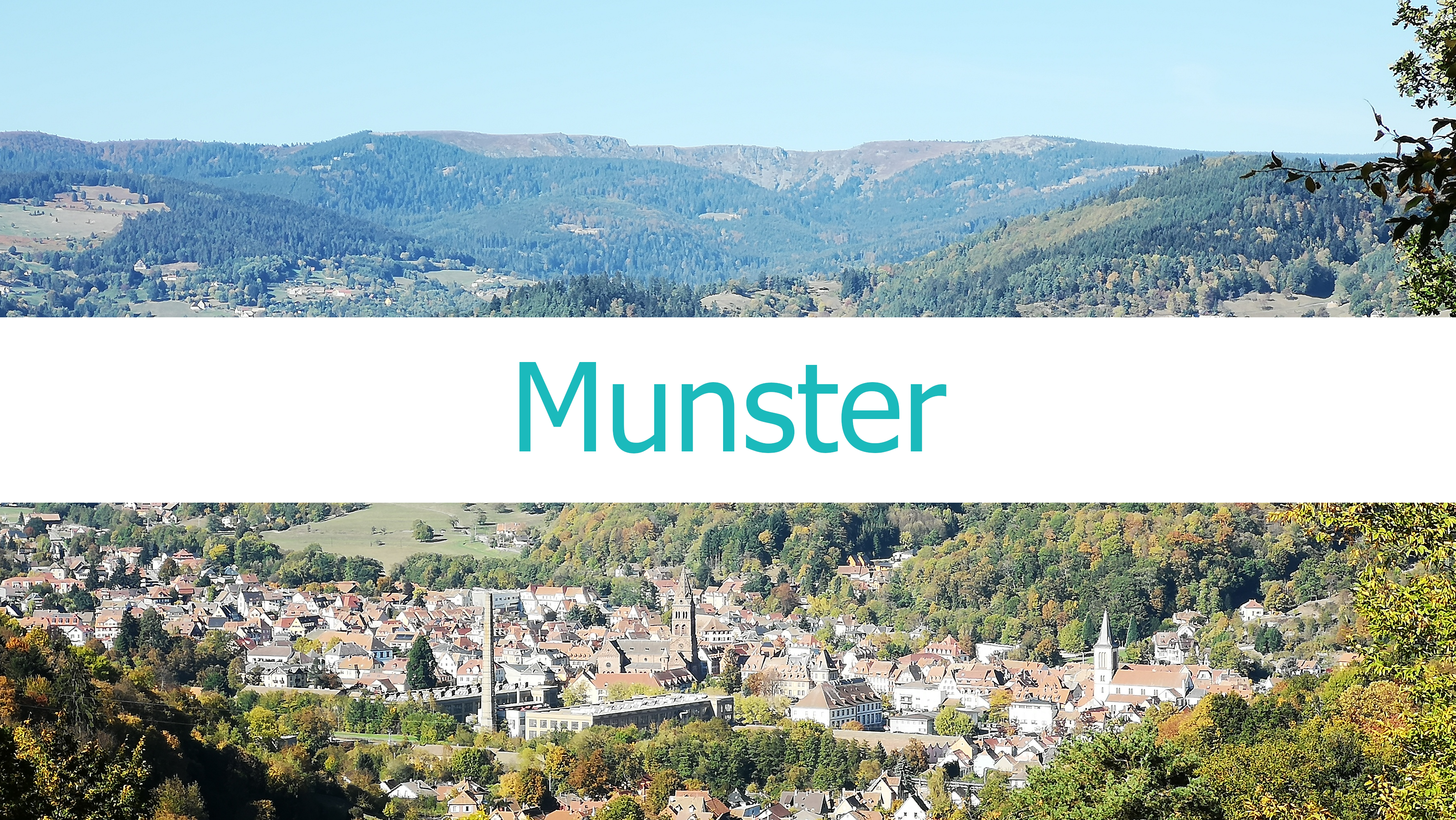 munster_menü