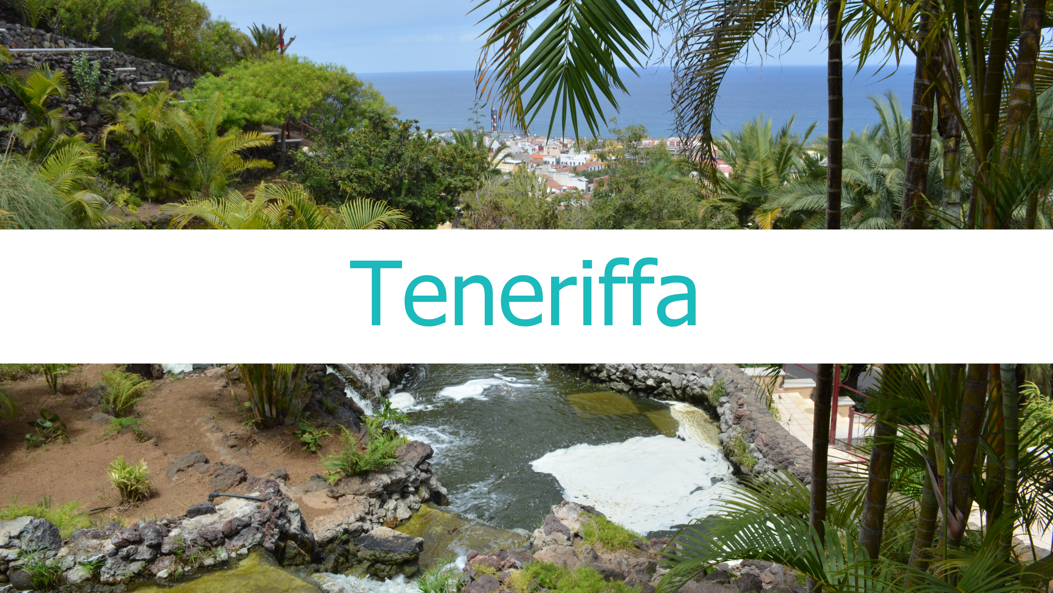 fuerteventura_menü