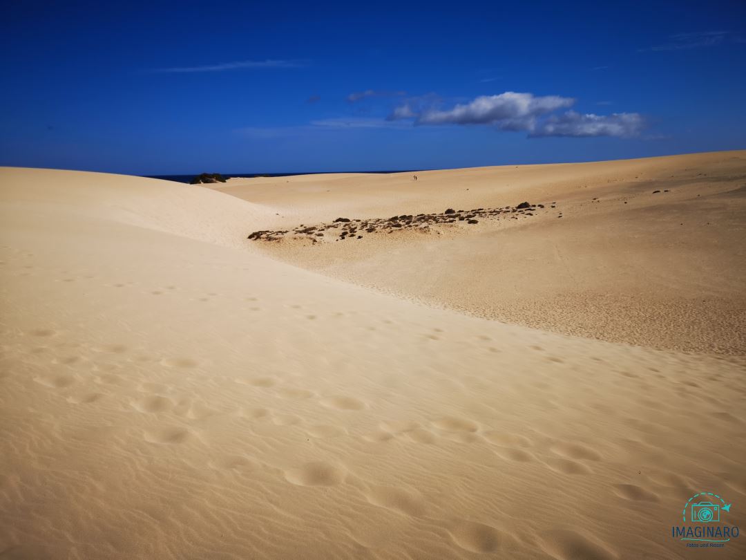 Fuerteventura 01