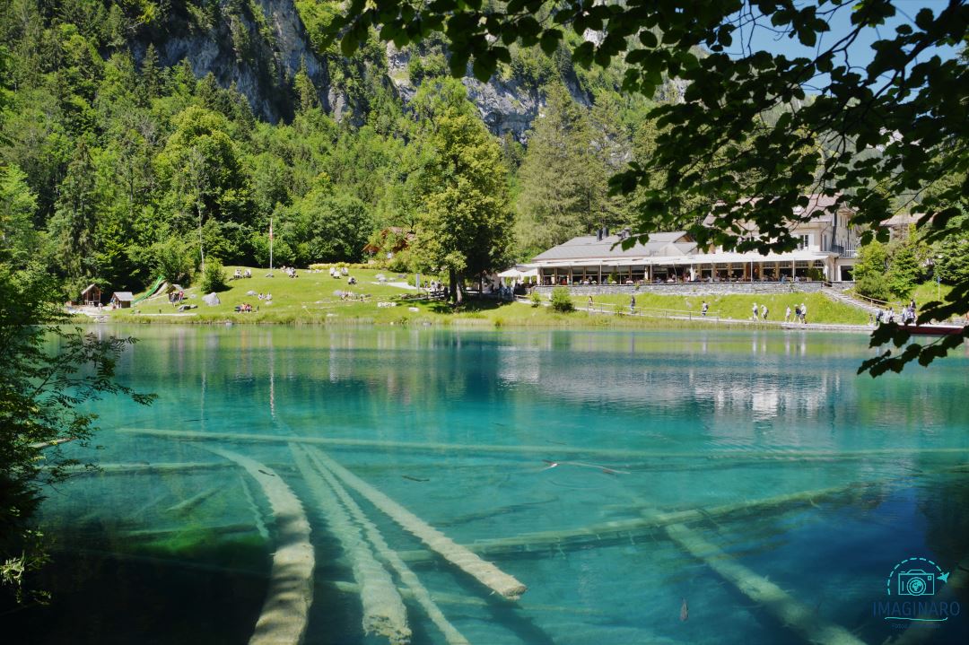 Blausee 2020