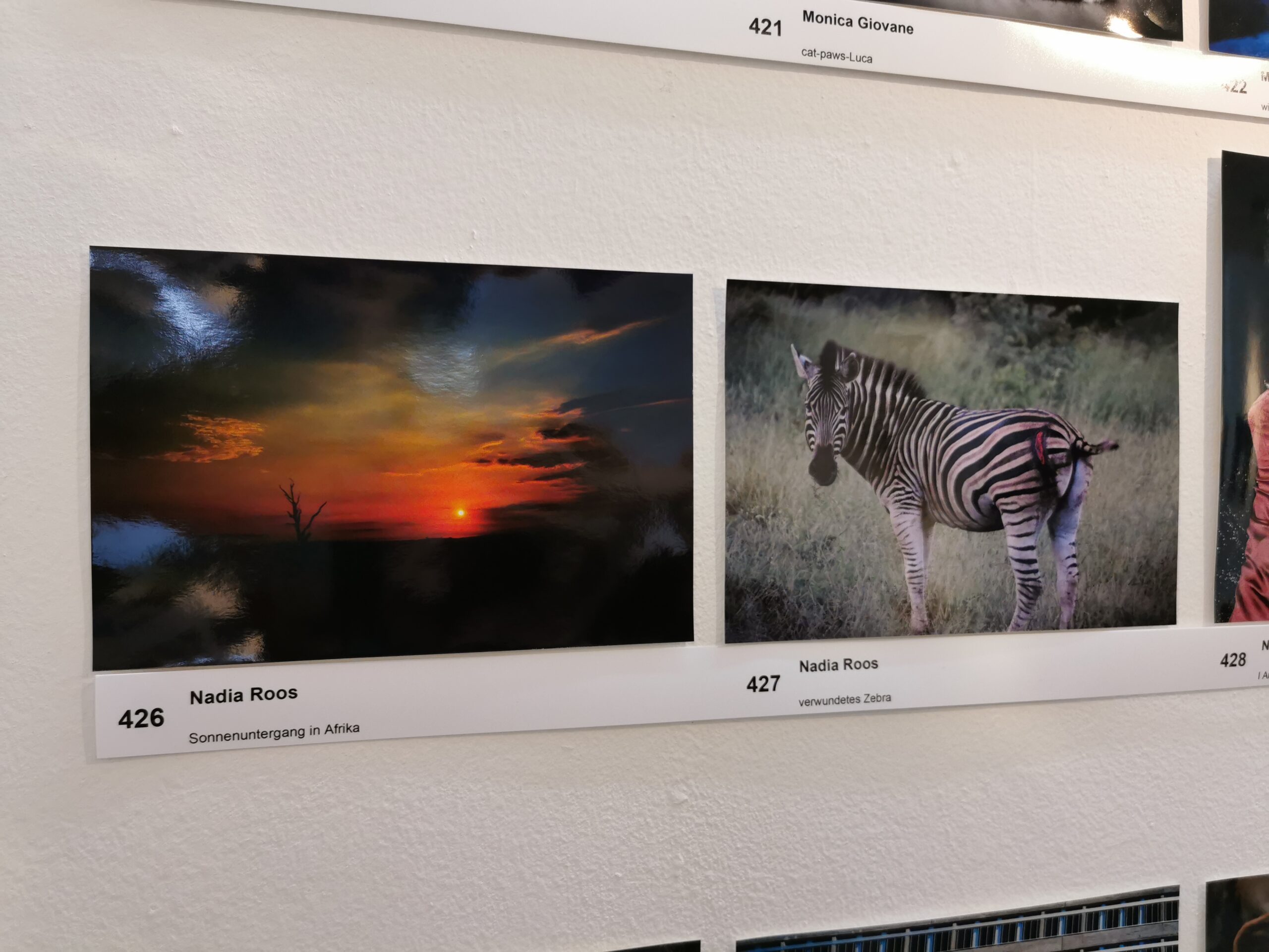 Swiss Photo Club Awards Zürich 2021