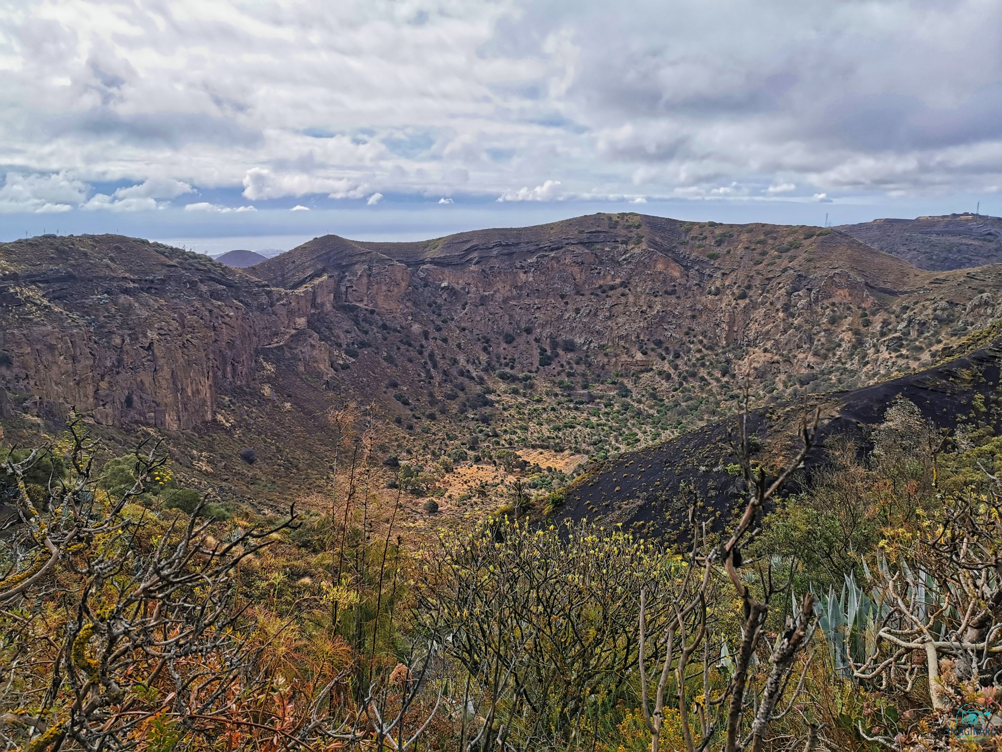 Caldera de Bandama – 2021